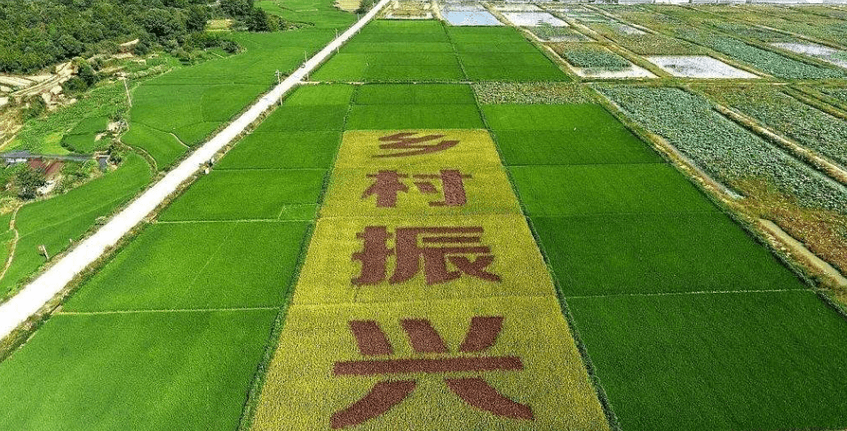 人民日報(bào)“鄉(xiāng)村振興計(jì)劃”為何看上他？_直播_行業(yè)_農(nóng)產(chǎn)品